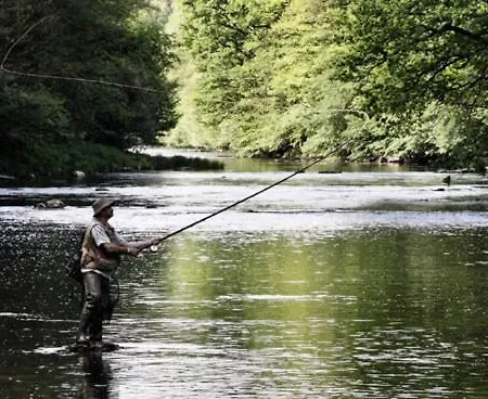 博姆基赫纳膳食公寓酒店 阿尔特海姆