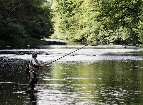 Baumkirchner Altheim